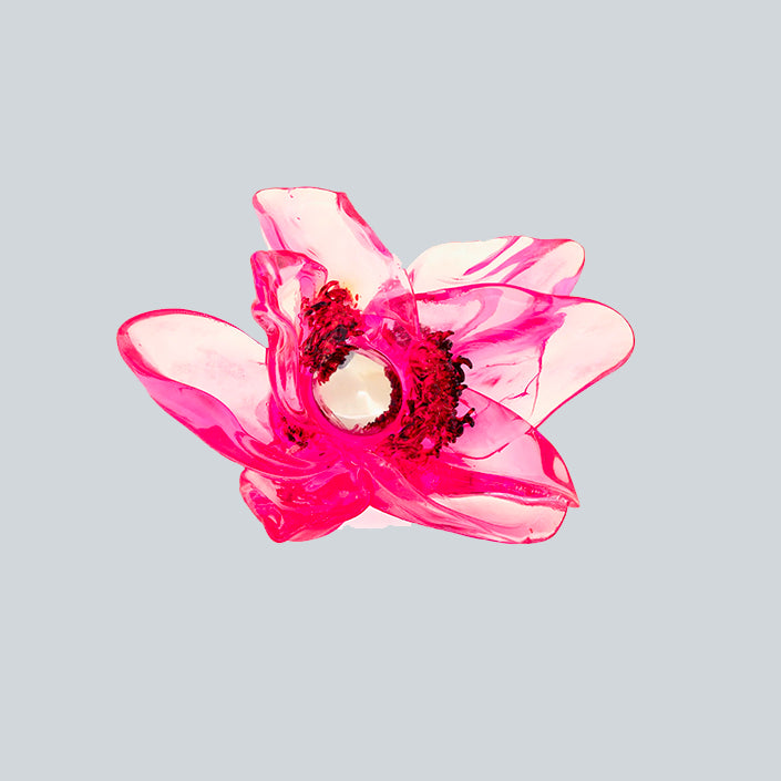 LA MANSO TEMPUS ROSITA image 0