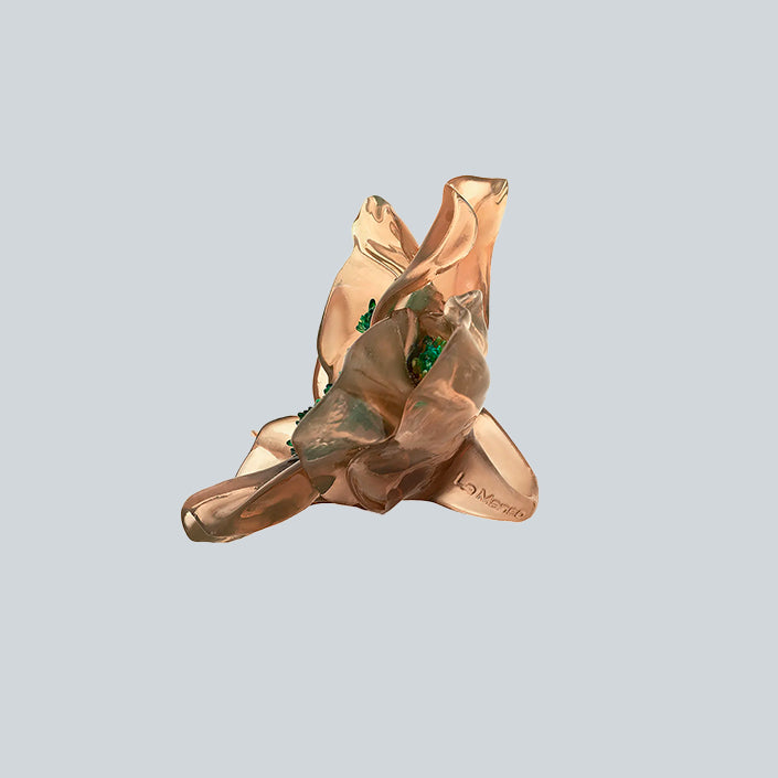 LA MANSO TEMPUS FLORIT image 2