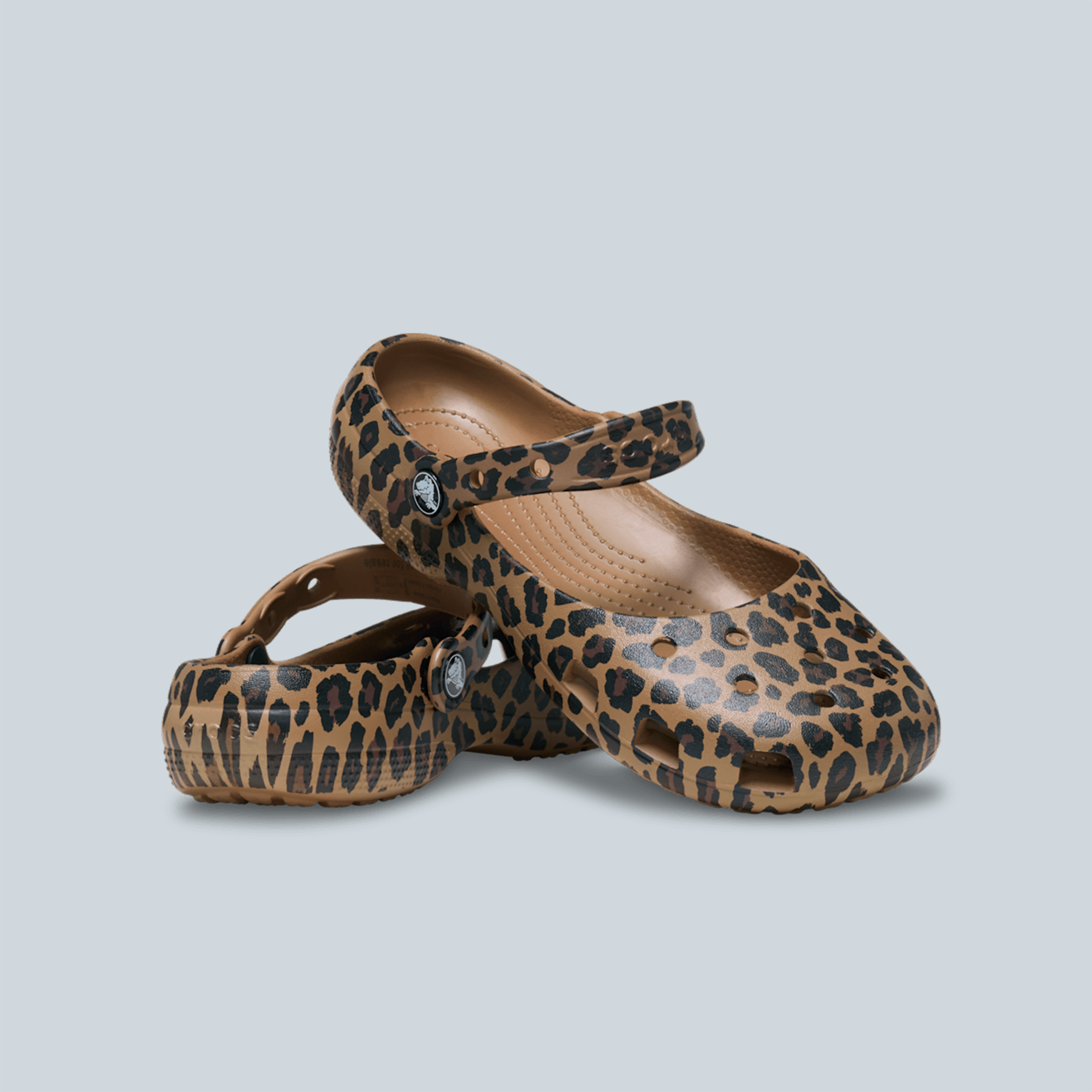 CLASSIC BALLET - ANIMAL