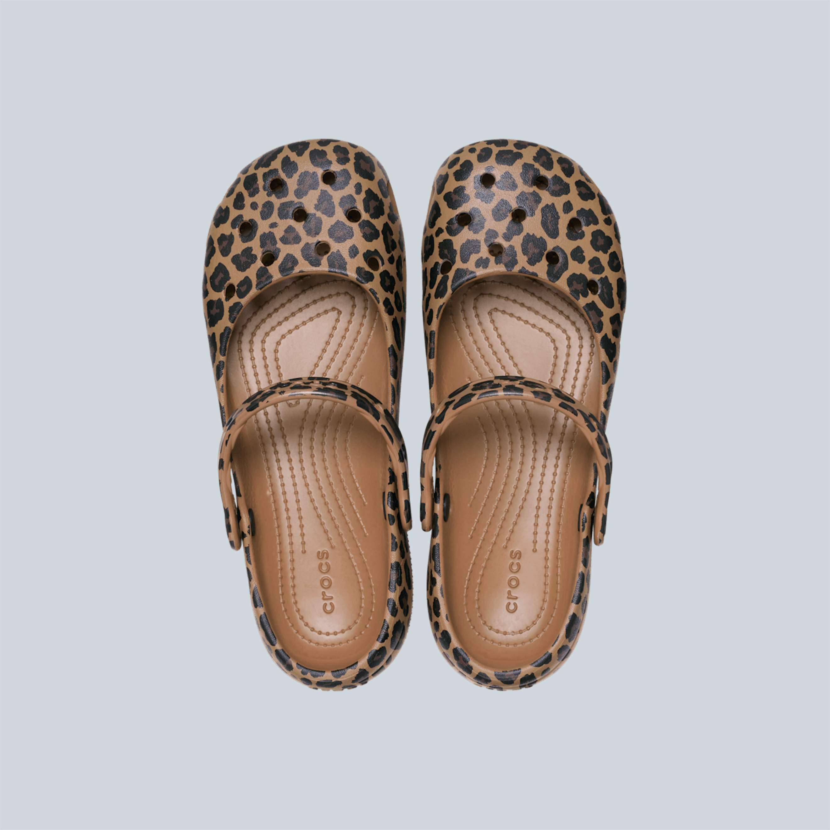 CLASSIC BALLET - ANIMAL