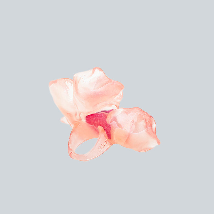 LA MANSO TETERIUM FRANCIA image 1