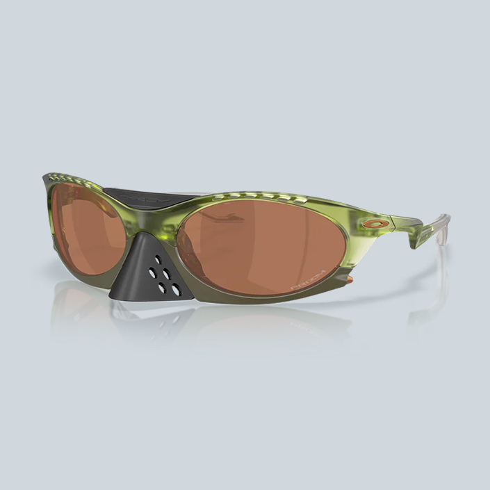 PLANTARIS - PRIZM TUNGSTEN,  MONTURE MATTE TRANSPARENT FERN