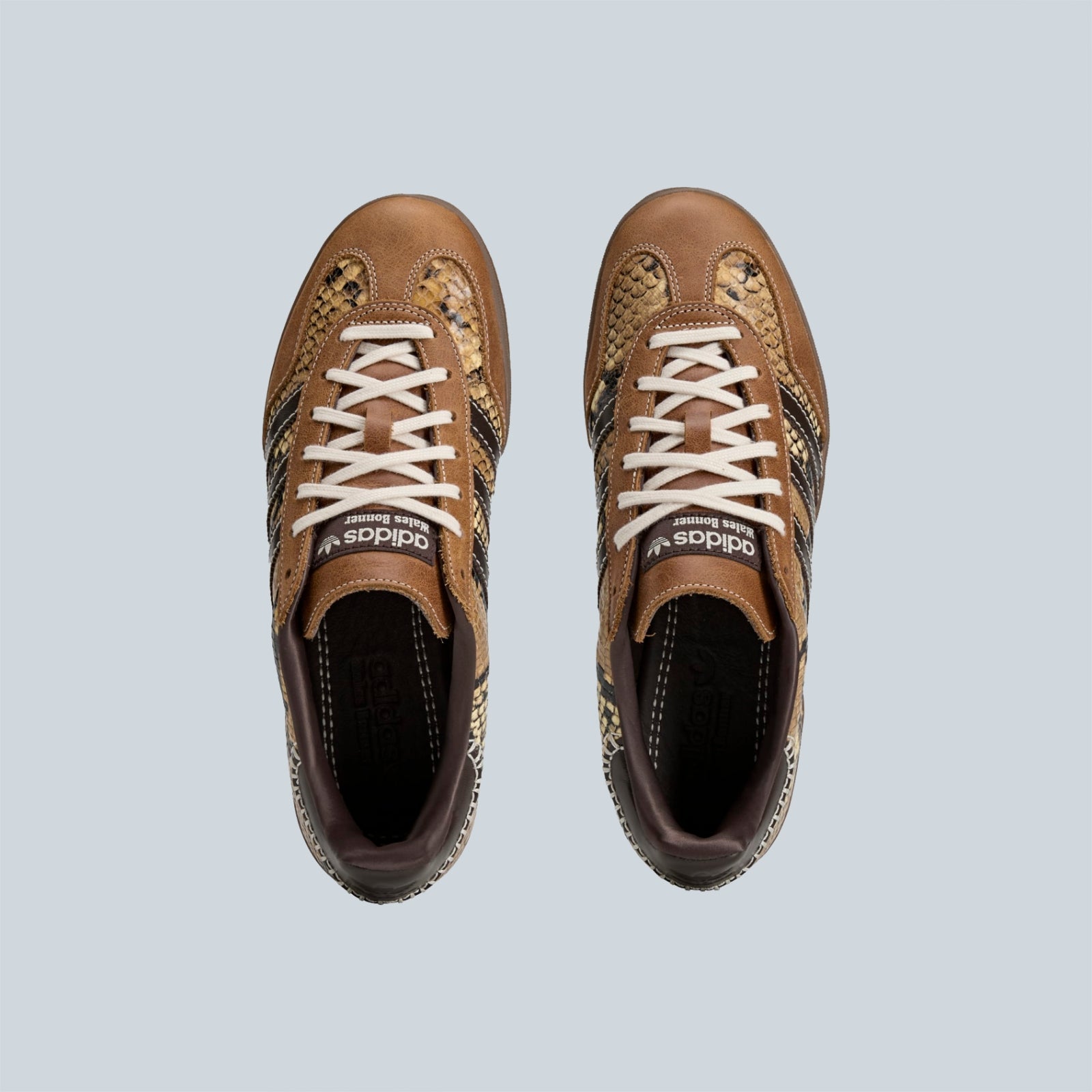 GAZELLE SNAKE - ROUPOU BLAMER BORCOL
