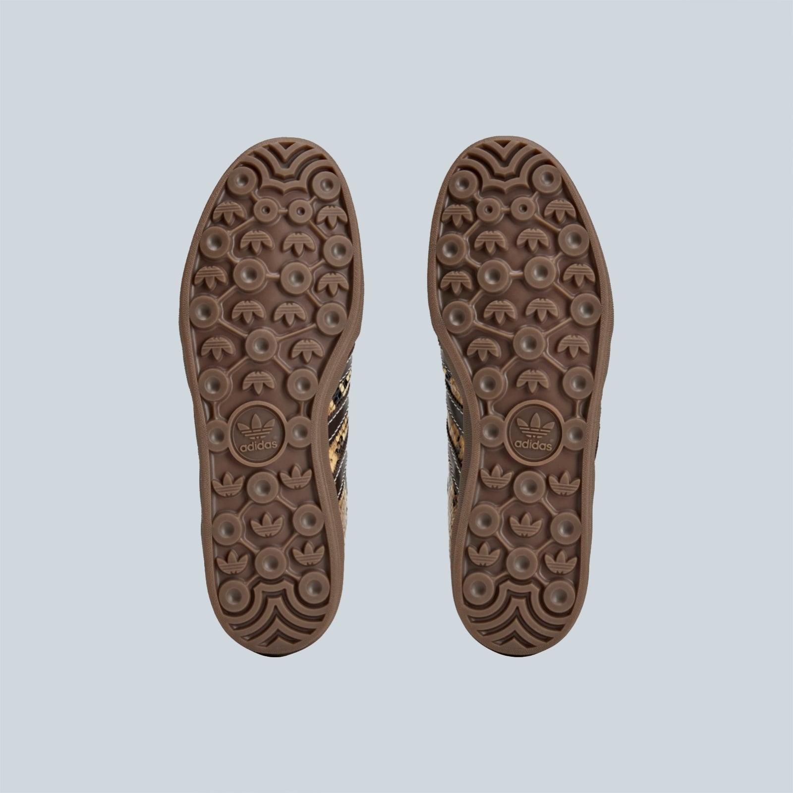 GAZELLE SNAKE - ROUPOU BLAMER BORCOL
