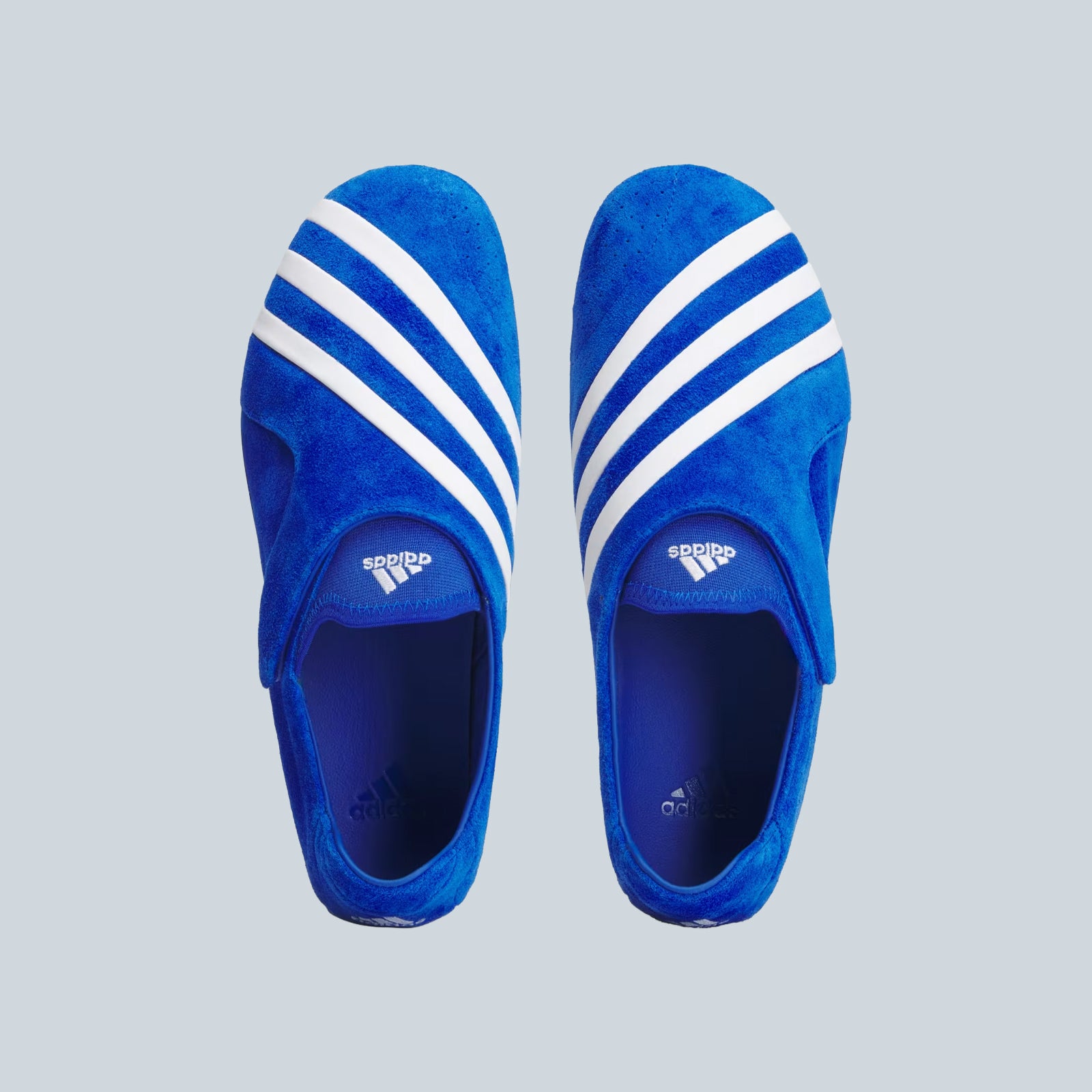 VARIO FLAT EARTHER - BLUE