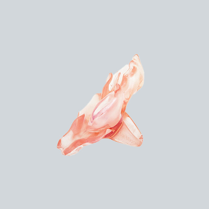 LA MANSO TETERIUM FRANCIA image 2