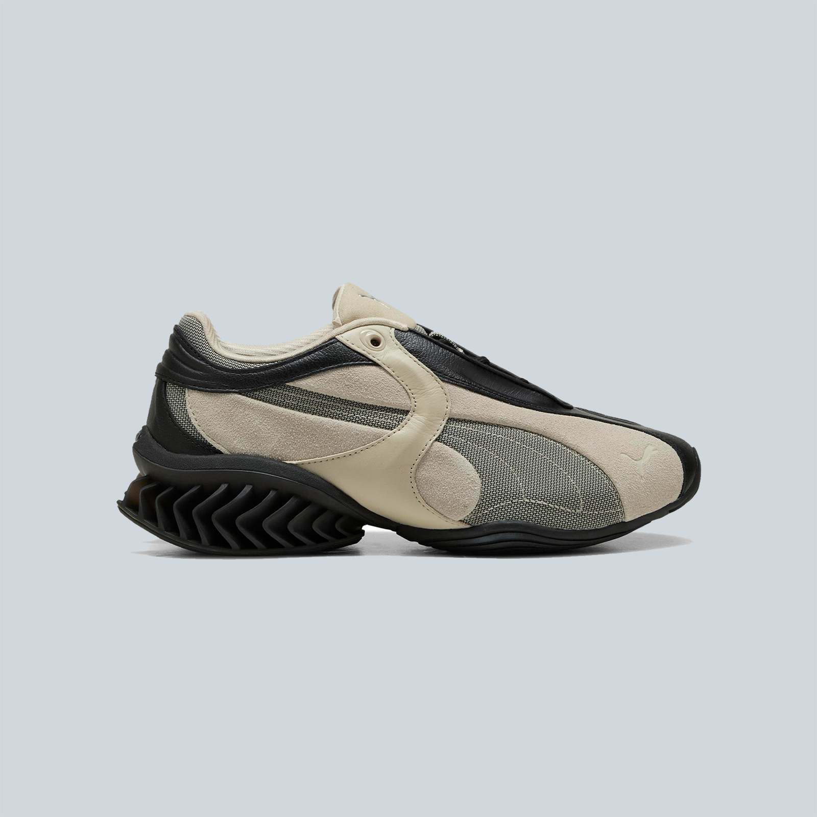 CELL GEO 1 - BLACK BIRCH TREE