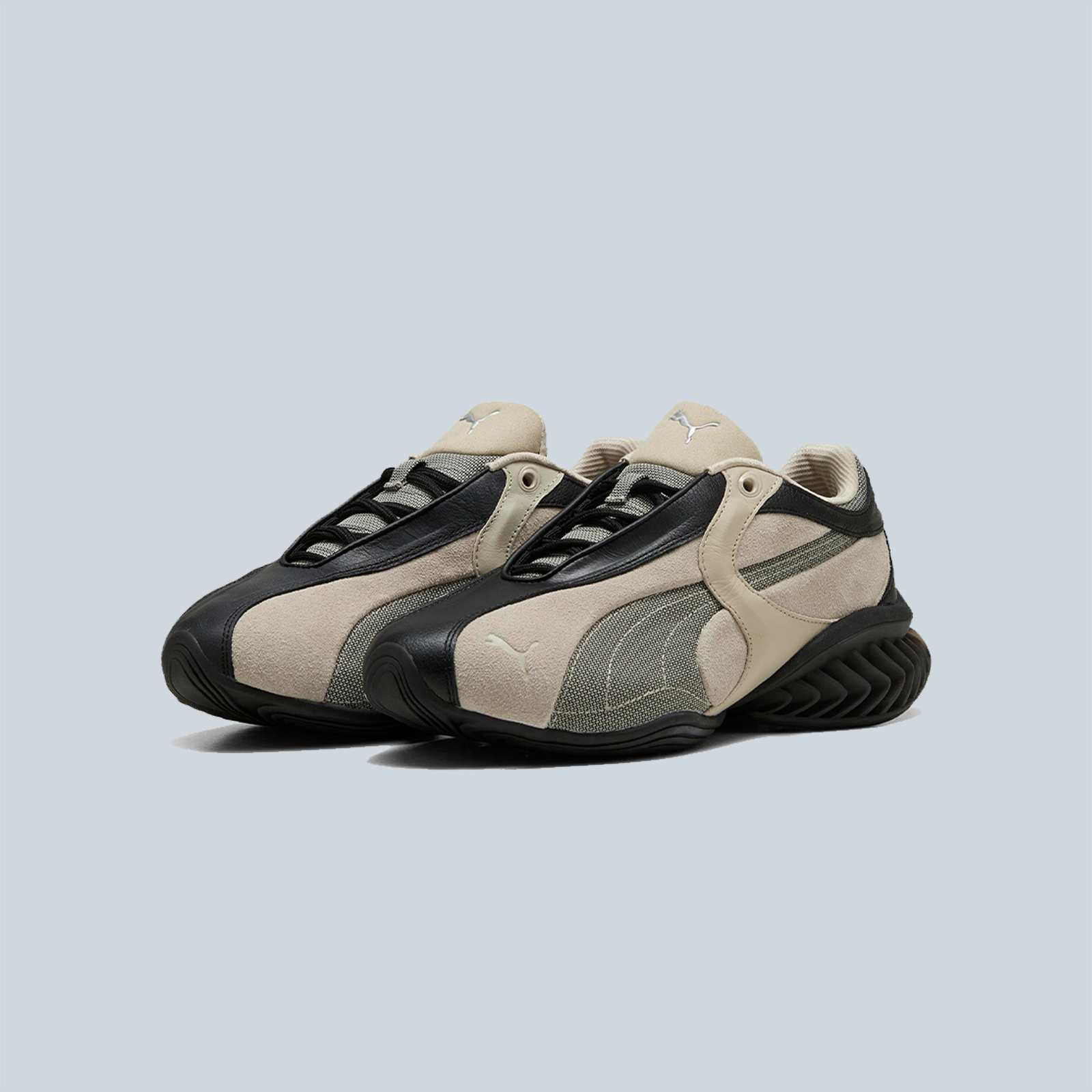 CELL GEO 1 - BLACK BIRCH TREE