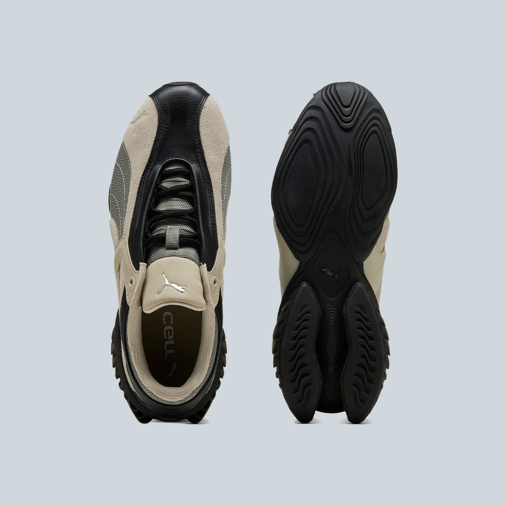 CELL GEO 1 - BLACK BIRCH TREE